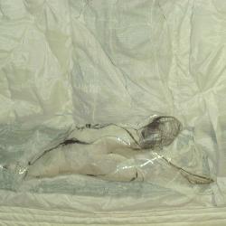 Quilt